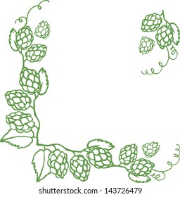 Decorative hops vector illustration border