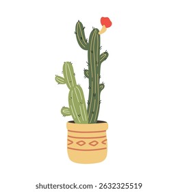 Decorative house plant cactus in yellow pot, vector illustration in flat style on white background