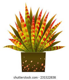 A decorative house plant on a white background 