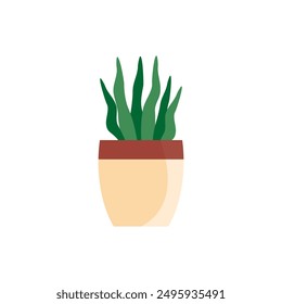 Decorative House Plants, Indoor Plants in Pots. Indoor plants in pot landscaping at home. Decor for the apartment and garden. Vector illustration