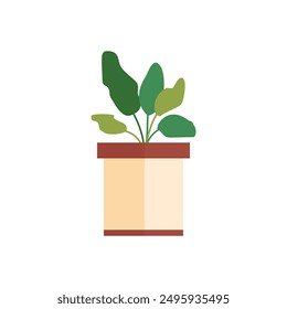 Decorative House Plants, Indoor Plants in Pots. Indoor plants in pot landscaping at home. Decor for the apartment and garden. Vector illustration