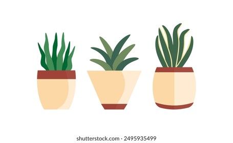 Decorative House Plants, Indoor Plants in Pots. Indoor plants in pot landscaping at home. Decor for the apartment and garden. Vector illustration