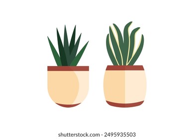 Decorative House Plants, Indoor Plants in Pots. Indoor plants in pot landscaping at home. Decor for the apartment and garden. Vector illustration