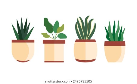 Plantas decorativas de la casa, plantas de interior en macetas. Plantas de interior en jardinería de macetas en casa. Decoración para el apartamento y el jardín. Ilustración vectorial