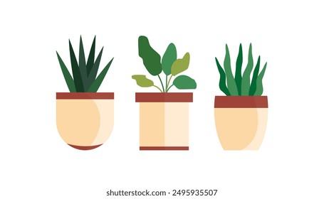 Plantas decorativas de la casa, plantas de interior en macetas. Plantas de interior en jardinería de macetas en casa. Decoración para el apartamento y el jardín. Ilustración vectorial