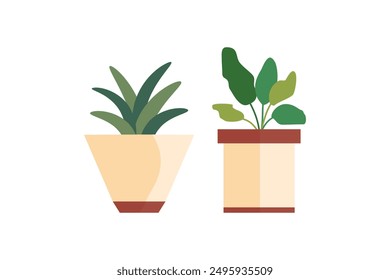 Decorative House Plants, Indoor Plants in Pots. Indoor plants in pot landscaping at home. Decor for the apartment and garden. Vector illustration