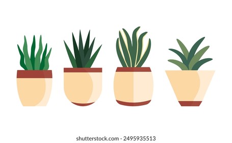 Decorative House Plants, Indoor Plants in Pots. Indoor plants in pot landscaping at home. Decor for the apartment and garden. Vector illustration