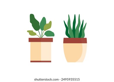 Decorative House Plants, Indoor Plants in Pots. Indoor plants in pot landscaping at home. Decor for the apartment and garden. Vector illustration