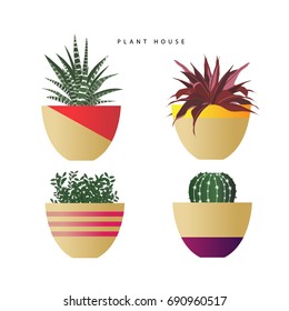 decorative house plants with pots