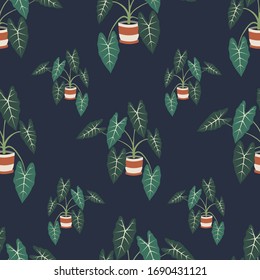 Decorative house plants seamless pattern. Indoor alocasia plant