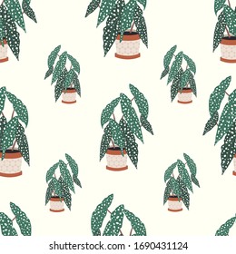 Decorative house plants seamless pattern. Indoor begonia plant