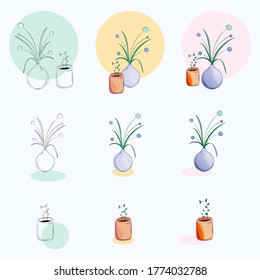 Decorative House Plants in Three Different Styles