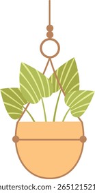 Decorative houseplant featuring striped leaves hangs gracefully from the ceiling in a macrame planter, enhancing interior spaces with a refreshing touch of nature and greenery