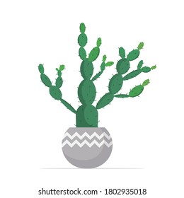 decorative houseplant planted in ceramic pot garden potted plants isolated vector illustration
