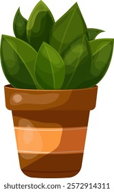 Decorative houseplants for interior home decoration. Indoor plant in flowerpot. Modern vector hand drawn illustration