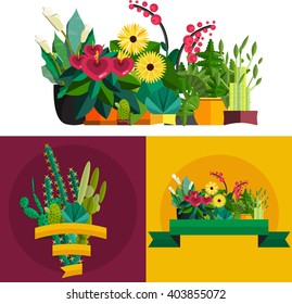 Decorative houseplants isolated set vector illustration, indoor and office interior plants in pot.Green flower collection for garden or home decoration.Floral leaf design flat background
