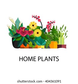 Decorative houseplants isolated set vector illustration, indoor and office interior plants in pot.Green flower collection for garden or home decoration.Floral leaf design flat background
