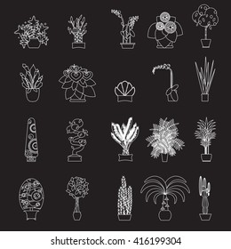 Decorative houseplants isolated set vector illustration, indoor and office interior plants in pot.Green flower collection for garden or home decoration.Floral leaf design flat background