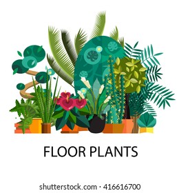 Decorative houseplants isolated set vector illustration, indoor and office interior plants in pot.Green flower collection for garden or home decoration.Floral leaf design flat background