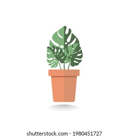 Decorative houseplants. Plants and nature homemade flowers in pot interior decoration in flat cartoon style. Vector illustration, icon
