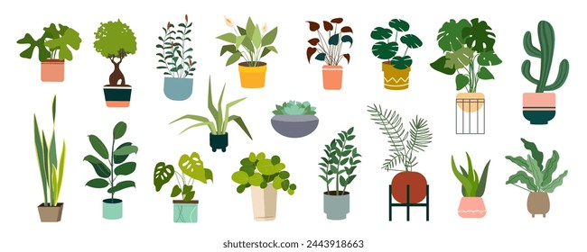 Decorative houseplants in pots mega set in flat graphic design. Collection elements of home potted plants with variation green foliage of monstera, ficus, succulent, calla lily. Vector illustration.