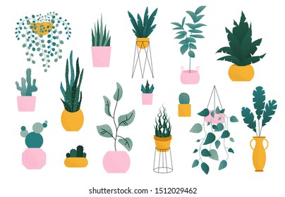 Decorative houseplants set. Collection of plants growing in pots isolated on white background, bundle of trendy house plants planters. Home garden illustration