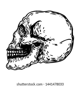 Decorative human skull in different directions, hand drawn illustration. Stylized drawing of decorative witchcraft, voodoo magic attribute. Illustration for Halloween. Vector.