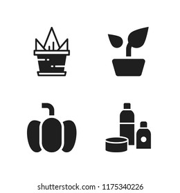 decorative icon. 4 decorative vector icons set. pumpkin, cosmetic and plant icons for web and design about decorative theme