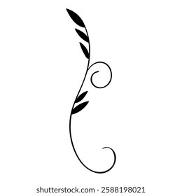 Decorative icon vector. Ornaments elements illustration sign. Decorative elements symbol or logo.