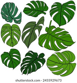 Decorative illustrated Monstera Deliciosa plant illustration. Bright green graphic illustration of a monstera leaf plant.