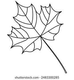 Decorative illustrated outlined maple leaf line art illustration.