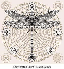 Decorative illustration with a dragonfly on the background of unreadable abstract scribbles written in a circle. Vector hand-drawn banner in retro style