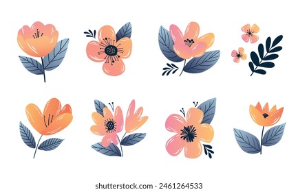 Decorative illustration of floral elements set