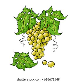 Decorative  illustration with grapes isolated on white. Hand drawn design for logo, print, label, poster, flyer, website.