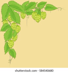 Decorative illustration with hop plant, text frame, label. Decorative illustration with hop plant, text frame, label. 