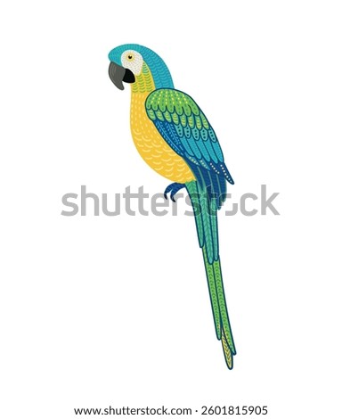 Decorative illustration of macaw parrot
. Vector isolated design element