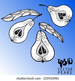 Decorative illustration of pears in vector format.