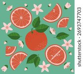 A decorative illustration showcasing grapefruits, grapefruit flowers, and leaves. A vibrant collection of citrus fruits suitable for invitations, greeting cards, covers, and banners. Hand-drawn art.