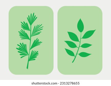 Decorative illustration with two framed green branches.