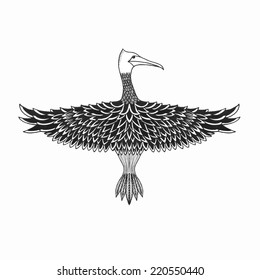 Decorative image of a bird