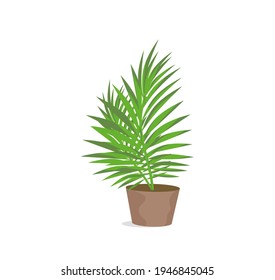 Decorative indoor flower in a pot. An interior item. Design element, layout, illustration, print. Vector illustration.