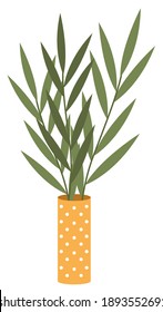 Decorative indoor plant in high narrow yellow vase for interior decoration isolated on white. Potted evergreen house plant. Eco style illustration, modern and elegant home decor, vector flowers