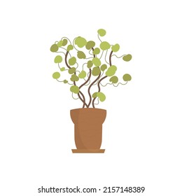 Decorative indoor plant. Isolated. Flat style. Vector illustration