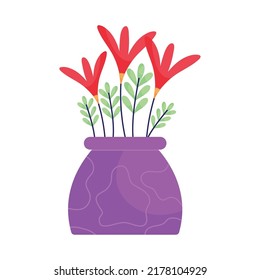 decorative indoor plant on white background