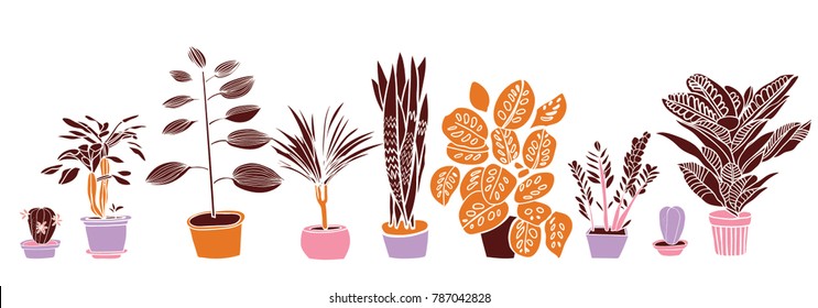 Decorative Indoor plants leaves and flowers in pots set