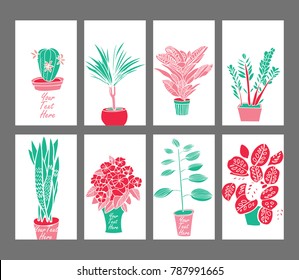 Decorative Indoor plants  in pots set 