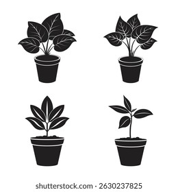 Decorative Indoor Plants Vector for Stylish Home Interiors