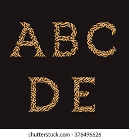 Decorative Initial A, B, C, D, E. Vector illustration of alphabet letters in caps. Ornate golden monograms.