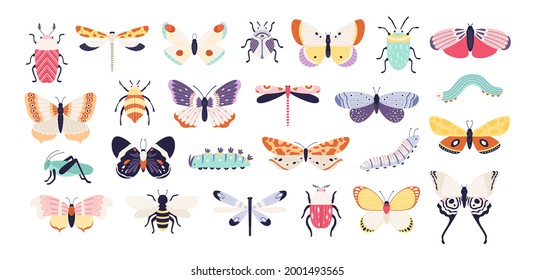 Decorative insects. Doodle beetles, butterflies, dragonflies, bee, caterpillar and grasshopper. Spring bug and worm, flat vector set. Grasshopper and dragonfly, butterfly with wings illustration