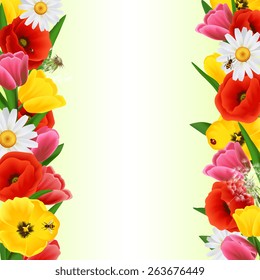 Decorative invitation card border from colorful tulip daisy and poppy flowers and insects isolated vector illustration